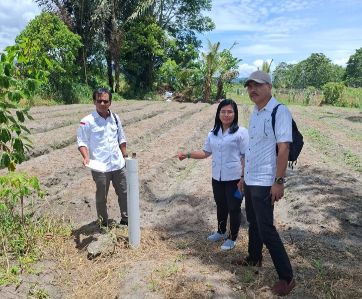 Tinjau Lapang